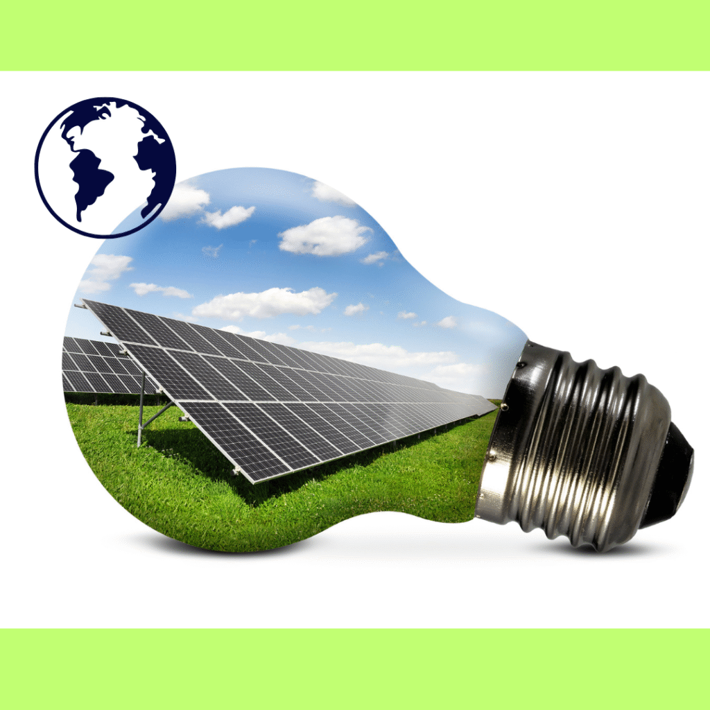 Glühbirne und Natur